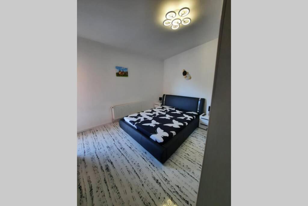 Apartament Erika Сіная Екстер'єр фото