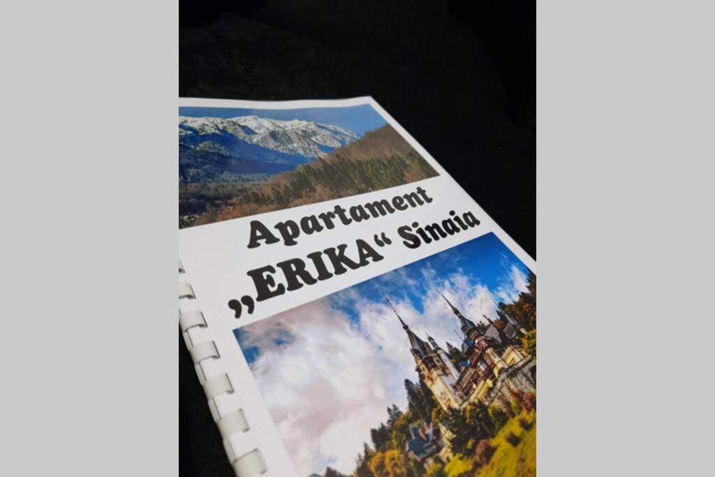 Apartament Erika Сіная Екстер'єр фото