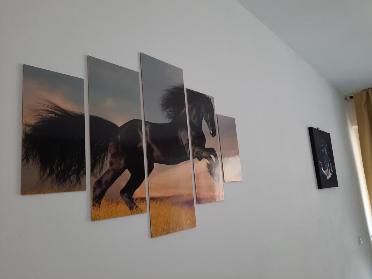 Apartament Erika Сіная Екстер'єр фото