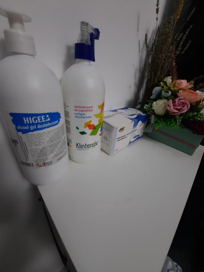 Apartament Erika Сіная Екстер'єр фото