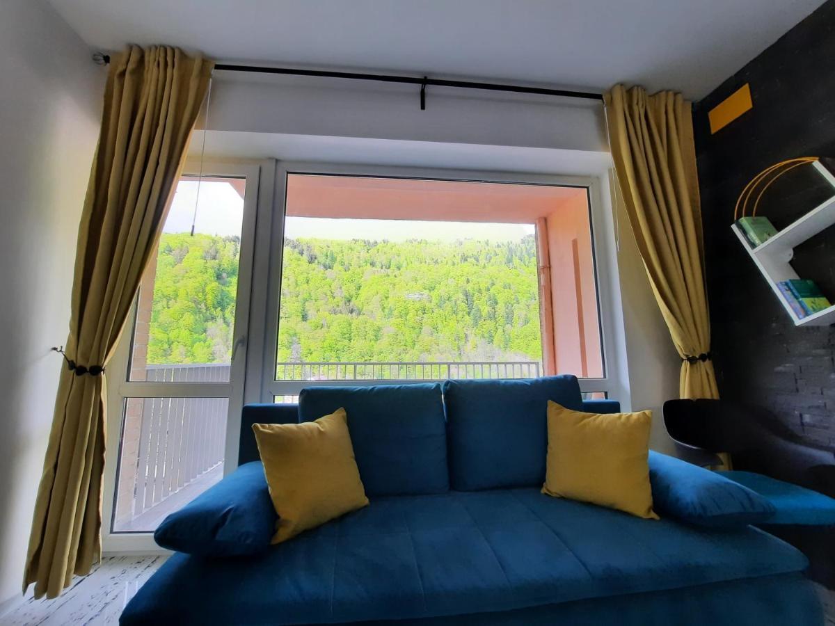 Apartament Erika Сіная Екстер'єр фото