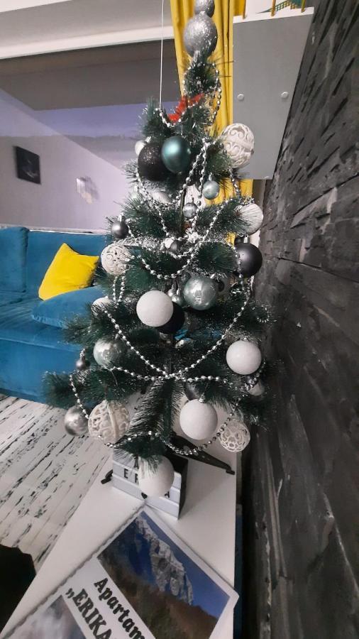 Apartament Erika Сіная Екстер'єр фото
