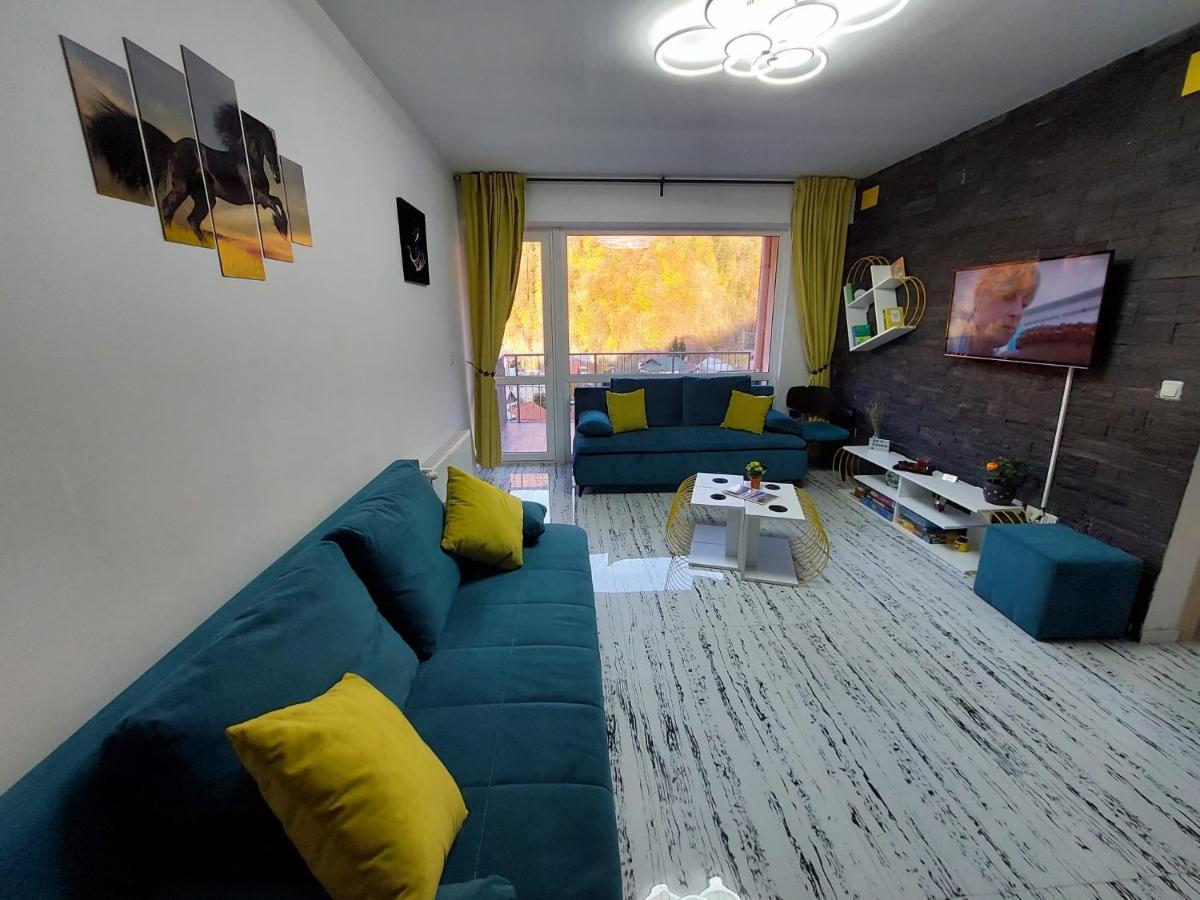 Apartament Erika Сіная Екстер'єр фото