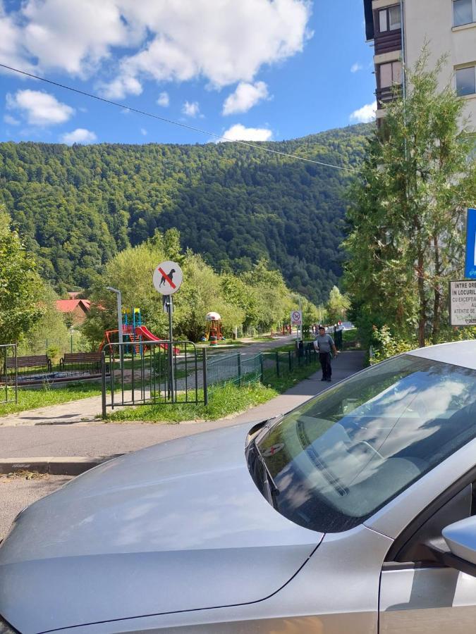 Apartament Erika Сіная Екстер'єр фото