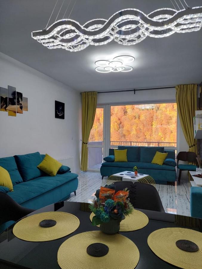 Apartament Erika Сіная Екстер'єр фото