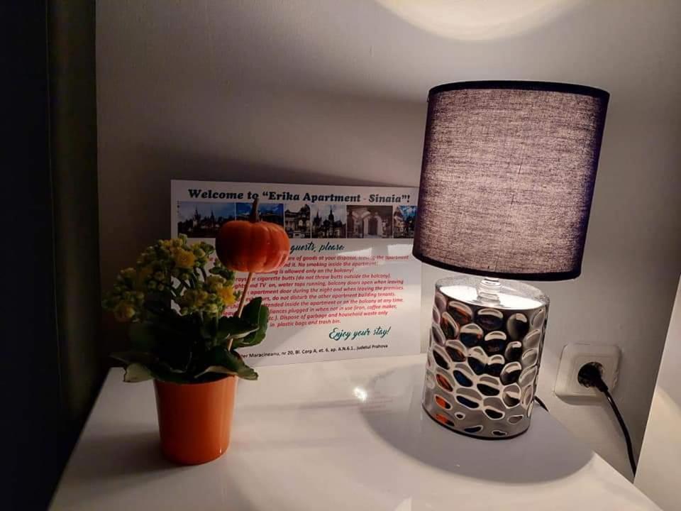 Apartament Erika Сіная Екстер'єр фото
